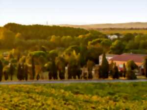 PIQUE-NIQUE CHEZ LES VIGNERONS INDÉPENDANTS - HERBE SAINTE