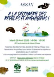 A la découverte des reptiles et amphibiens