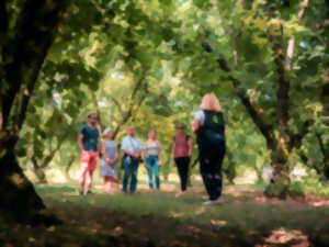 Visite de la coopérative Unicoque et des vergers de noisetiers