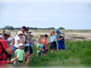 photo Traversée du havre de la Sienne - spéciale enfants