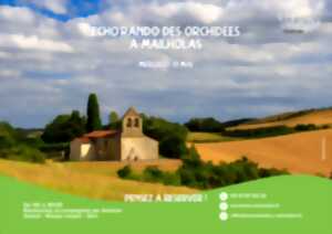 ÉCHO'RANDO ORCHIDÉES