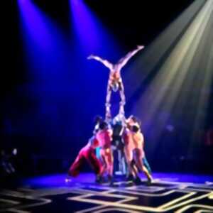 Moya - Zip Zap Circus