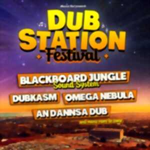 Dub Station Festival