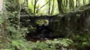 Journées du patrimoine de pays:  archéologie d’un paysage agraire