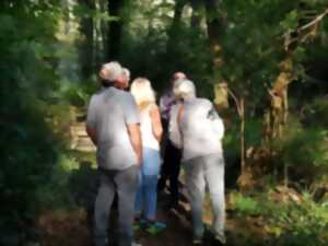 Balade sur le Domaine nature et de loisirs de Blasimon