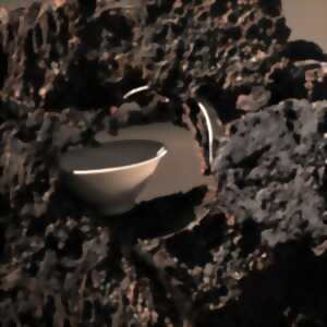 photo Journées d'étude de l'exposition 