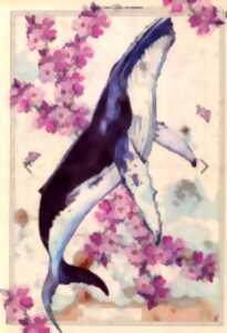 photo Cartes marines - Saison Ah ?