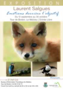 ÉMOTIONS DERRIÈRE L'OBJECTIF