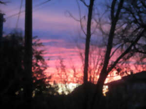 EXPOSITION DE PEINTURE