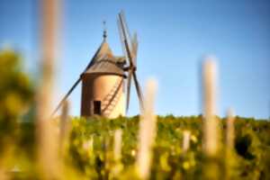 Bienvenue en Beaujonomie - Dîner au coeur du Moulin-à-Vent