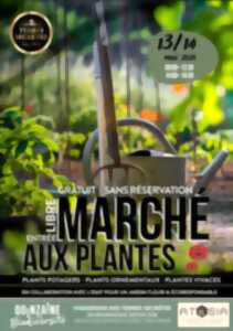 Conférence : Les chauve-souris, gardiennes secrètes de nos écosystèmes.