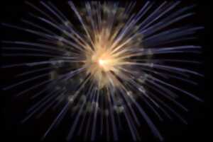 Bal populaire du 13 juillet