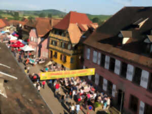 photo Fête des cerises