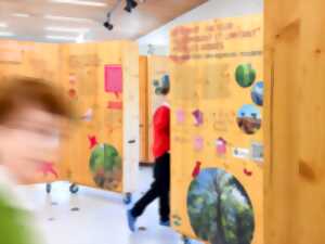photo Exposition - Les forêts du Grand Est à l'épreuve du changement climatique
