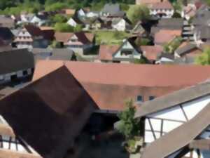 Les trésors de l'Autre-Forêt