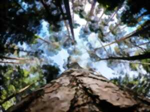 Biodiversité en fête