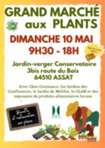 GRAND MARCHÉ AUX PLANTS