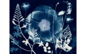 Atelier parent/enfant photographie Cyanotype