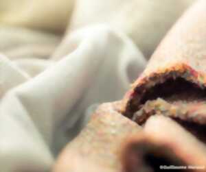 Découvrez le fleuron du mobilier français : La Maison Duvivier Canapés à Usson-du-Poitou !