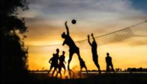 Tournoi de volley sur herbe (3X3)