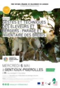 Atelier  : Gestes et techniques des éleveurs et bergers : Parage et Inventaire des brebis