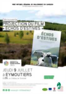 Projection du film 