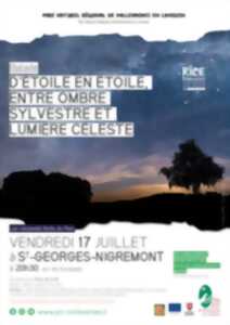 photo D'étoile en étoile, entre ombre sylvestre et lumière céleste
