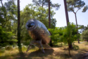 Sous les étoiles, randonnée naturaliste et artistique en forêt