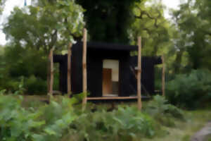 Soirée artistique au bord de l’étang de Brocas