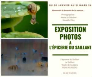 Exposition photos