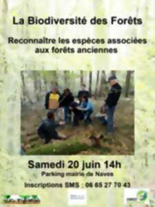 photo Balade : La biodiversité des forêts