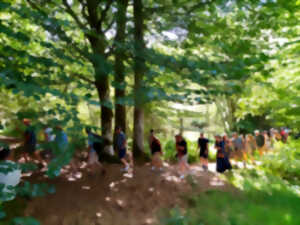 photo Sortie mycologique