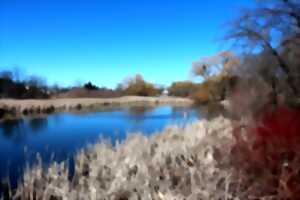 Randonnée : Étang des Landes (6/7kms)