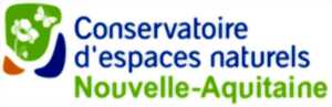 photo Animation nature : Partez à la recherche des papillons