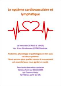 Conférence : Le système cardiovasculaire et lymphatique