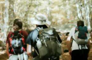 Chauffe tes mollets à Trémolat