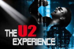 The U2 Experience