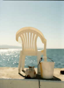 Festival Orizons - Exposition : La Chaise en plastique