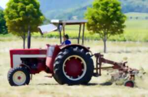 photo Comice agricole