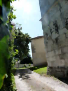 Été Actif : Conte animé les gardiens des châteaux à Allemans