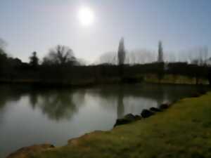 Journée pêche à l'étang