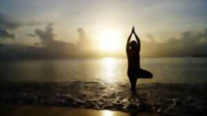 photo Séance Yoga