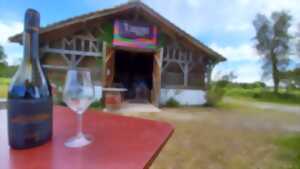 Dégustations gratuites de vins