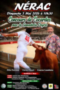 Concours de cocardes avec la ganadéria Deyris