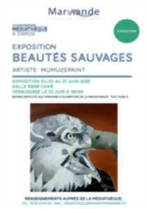 photo Exposition - BEAUTÉS SAUVAGES