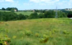 Sortie nature - à la découverte de l'Azuré des  mouillères