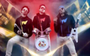photo Concert de The Wackids