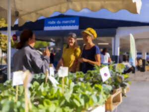photo Le stand 