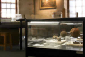 Retour vers le passé, les collections archéologiques