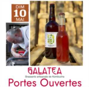 Portes ouvertes : Brasserie Galatea Kombucha